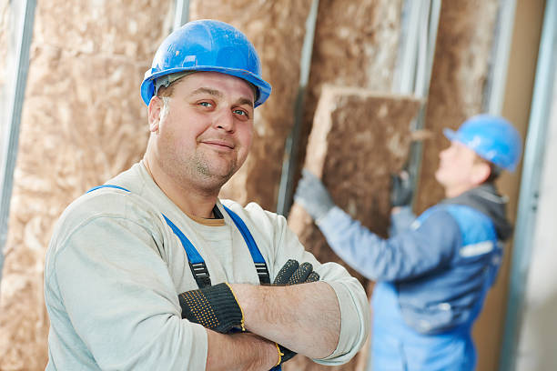 Best Insulation Installation Services in Santa Clara, UT